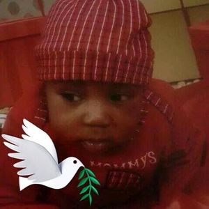 Meet your Posher, Molly